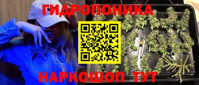 a pvp Краснознаменск