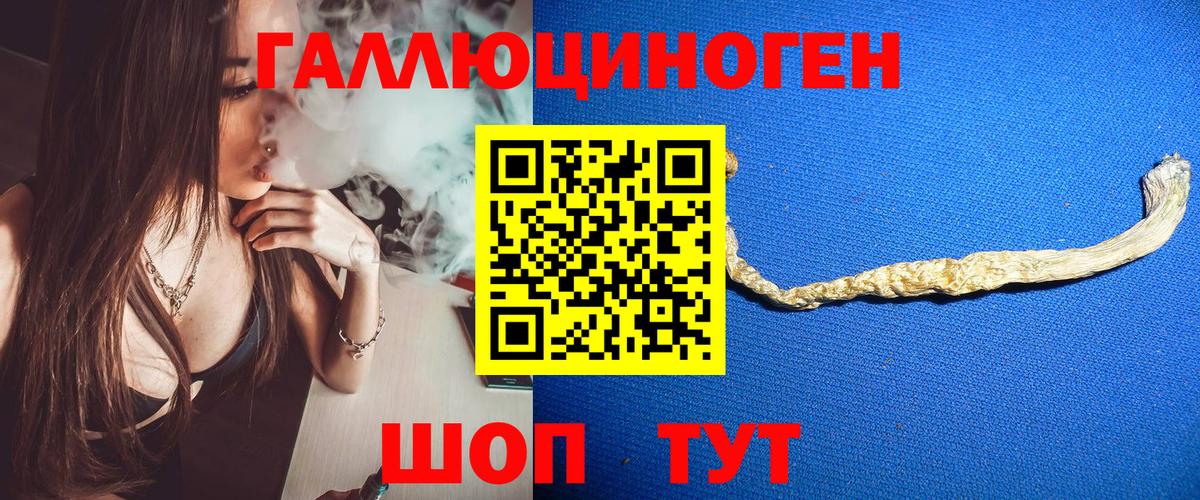 Псилоцибиновые грибы прущие грибы Фрязино