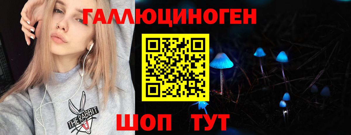 купить наркотики цена  Галлюциногенные грибы Psilocybine cubensis  Вход с VPN  Псилоцибиновые грибы ЛСД  Фрязино 